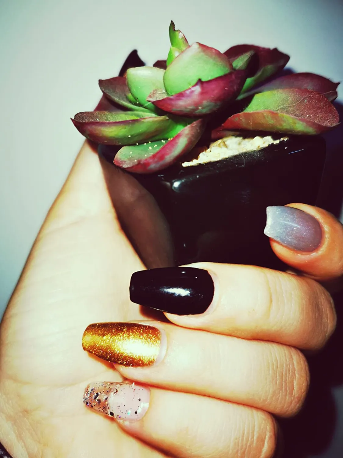 Nailfor Fullcover tips gel stiletto corto 240pz trasparenti