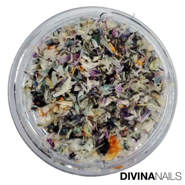 Diva Nails Dried Flowers 01 fiori secchi sottovetro