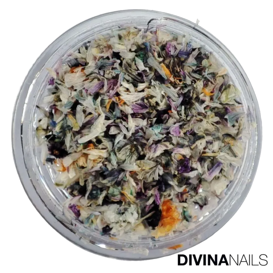 Diva Nails Dried Flowers 01 fiori secchi sottovetro