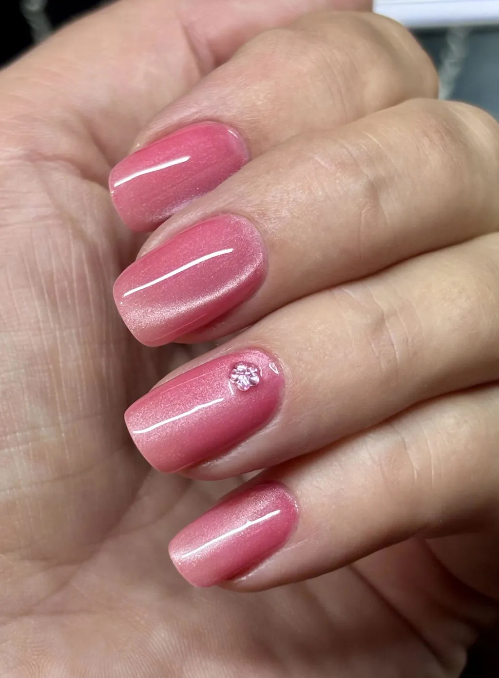 Venalisa Cat Eye smalto gel magnetico 10ml hema free