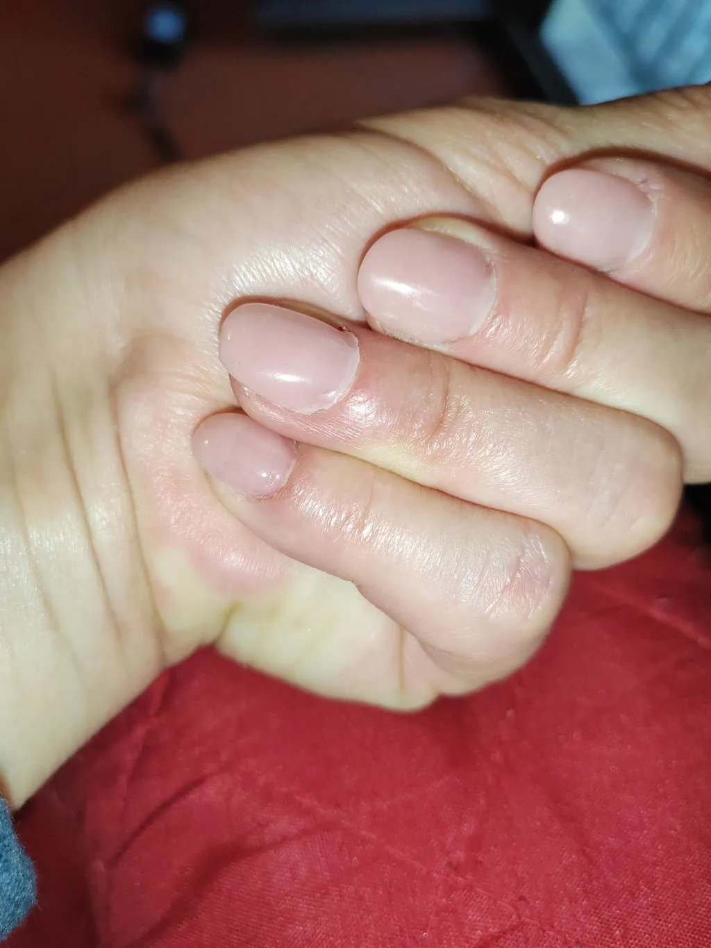 Diva Nails The Thixo Gel costruttore 50ml cover skin