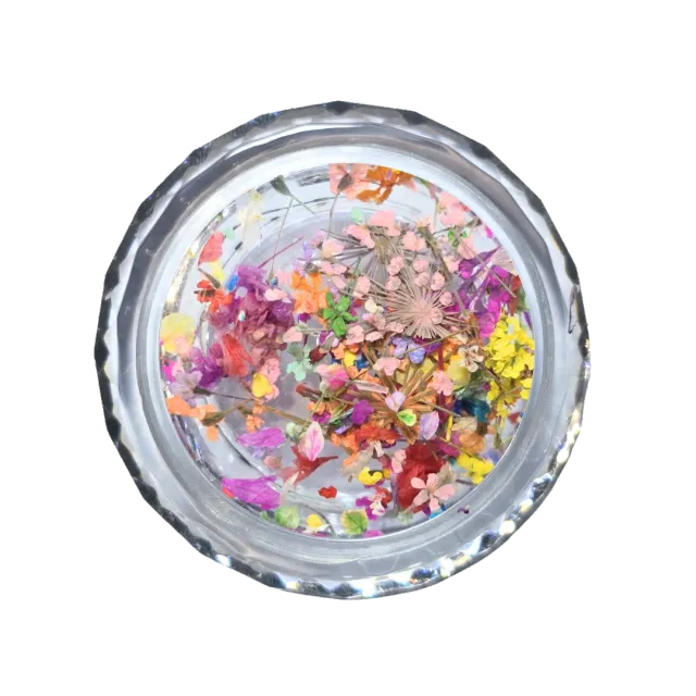 Diva Nails Dried Flowers Pastel Bloom fiori secchi unghie
