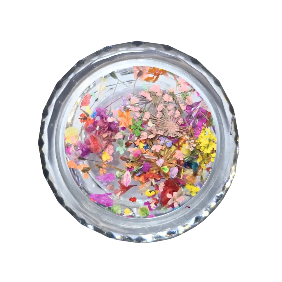 Diva Nails Dried Flowers Pastel Bloom fiori secchi unghie