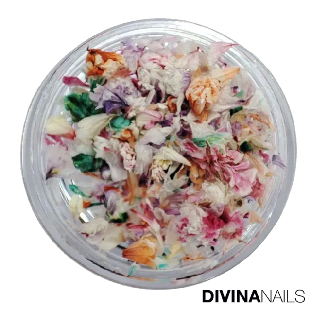 Diva Nails Dried Flowers 03 fiori secchi unghie effetto naturale