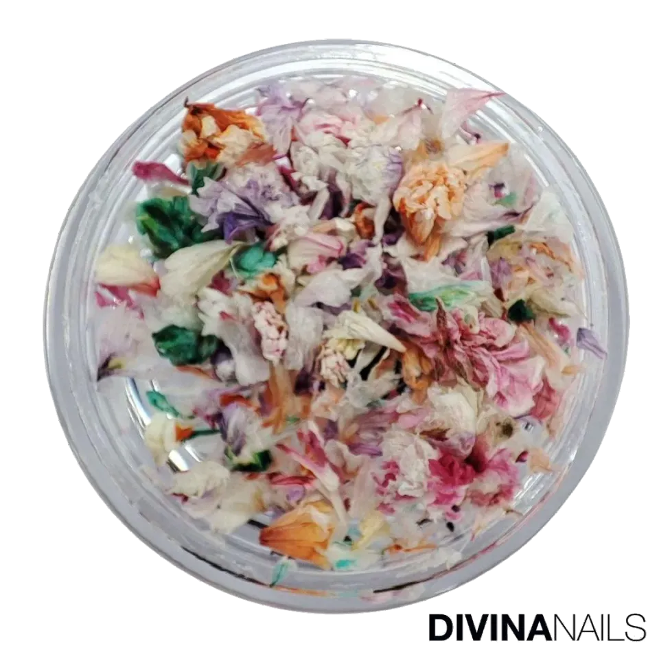 Diva Nails Dried Flowers 03 fiori secchi unghie effetto naturale