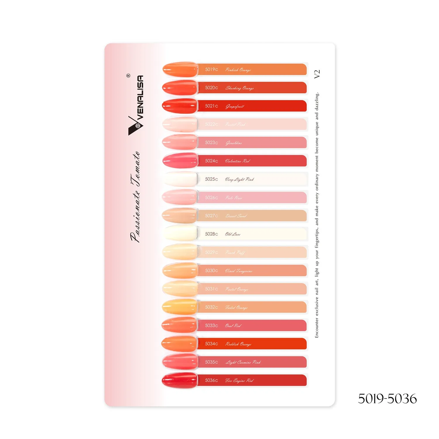 Venalisa Color Card 10ML cartella 60 colori 5001-5108