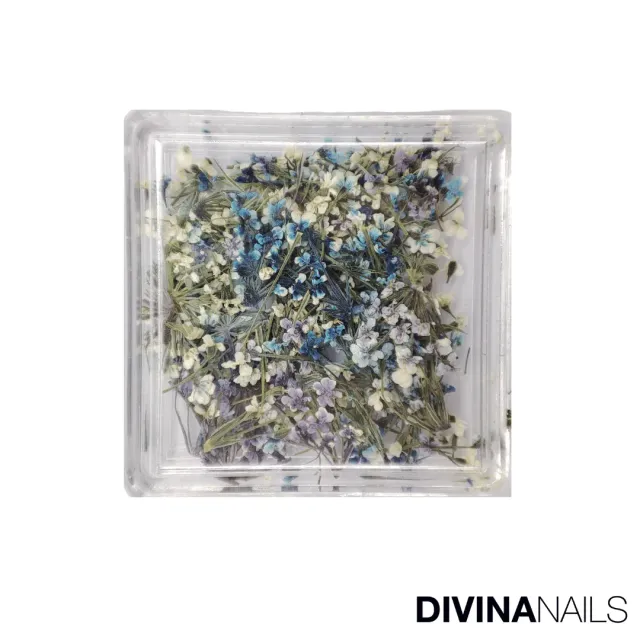Diva Nails Dried Flowers Square 02 fiori secchi nail art