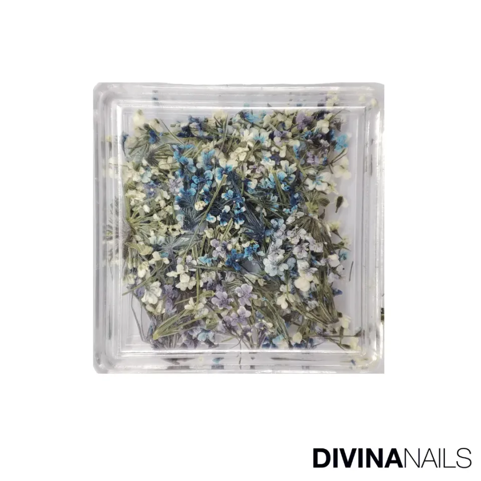 Diva Nails Dried Flowers Square 02 fiori secchi nail art