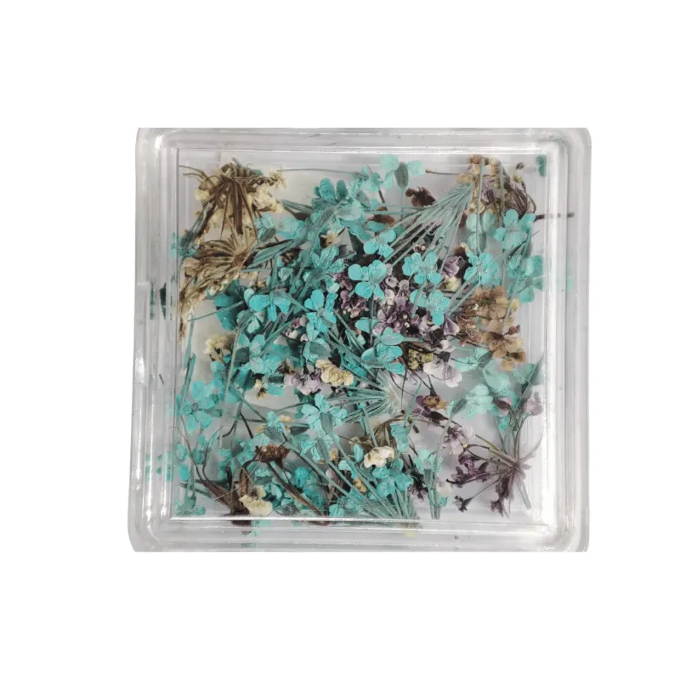 Diva Nails Dried Flowers Square 04 fiori secchi nail art