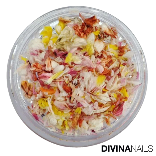 Diva Nails Dried Flowers 05 fiori secchi unghie eleganti