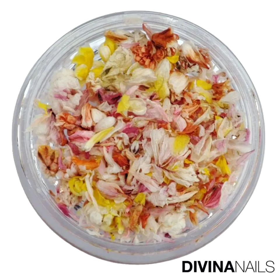 Diva Nails Dried Flowers 05 fiori secchi unghie eleganti