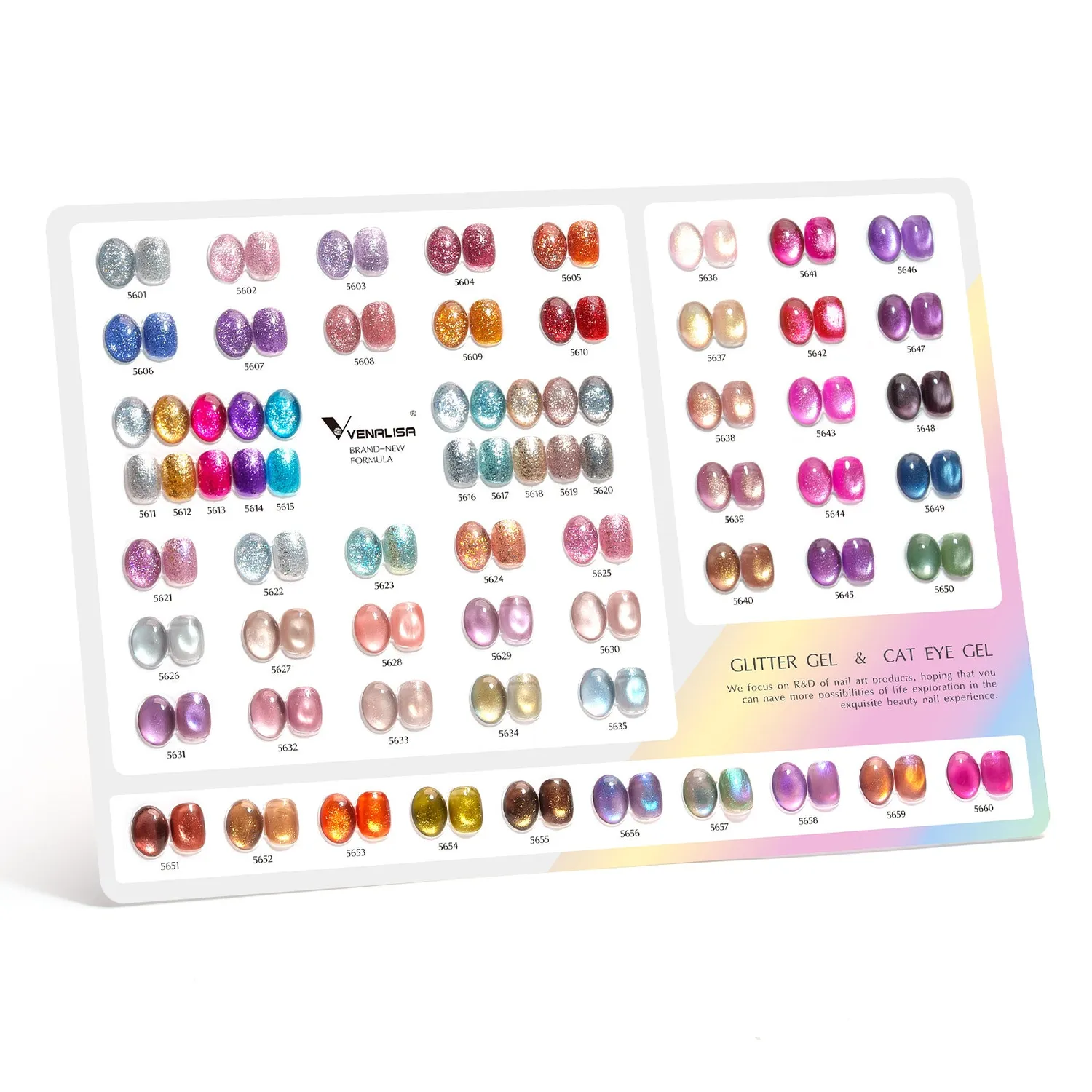Venalisa Color Card 10ML cartella 60 colori 5001-5108
