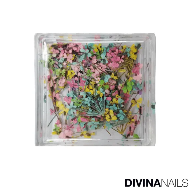Diva Nails Dried Flowers Square 01 fiori secchi nail art box