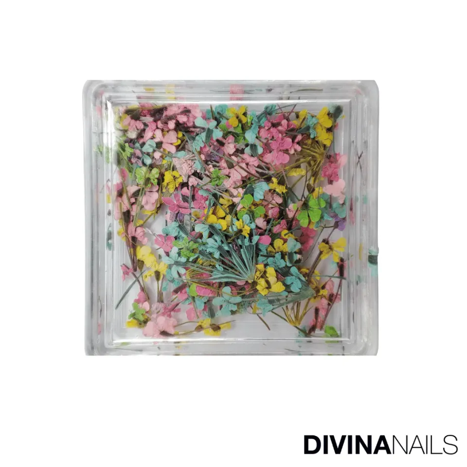 Diva Nails Dried Flowers Square 01 fiori secchi nail art box