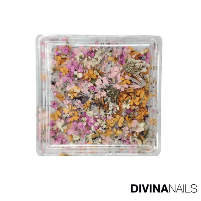 Diva Nails Dried Flowers Square 03 fiori secchi unghie