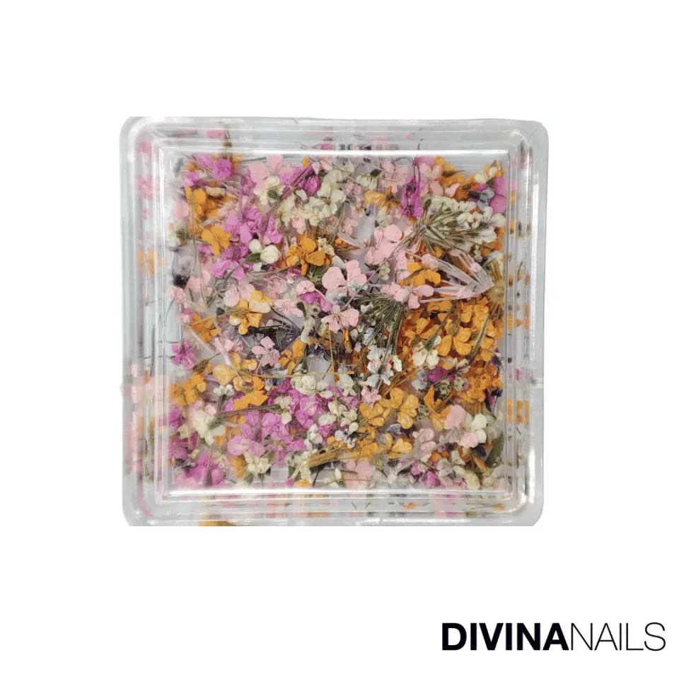 Diva Nails Dried Flowers Square 03 fiori secchi unghie