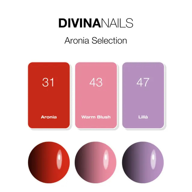 Diva Nails Aronia Selection box 3 semipermanenti 8ml