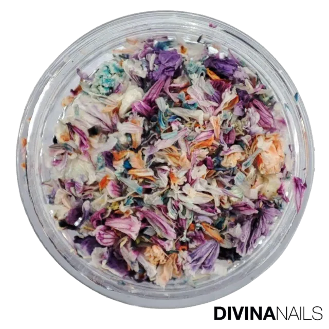 Diva Nails Dried Flowers 06 fiori secchi nail art 06 eleganti