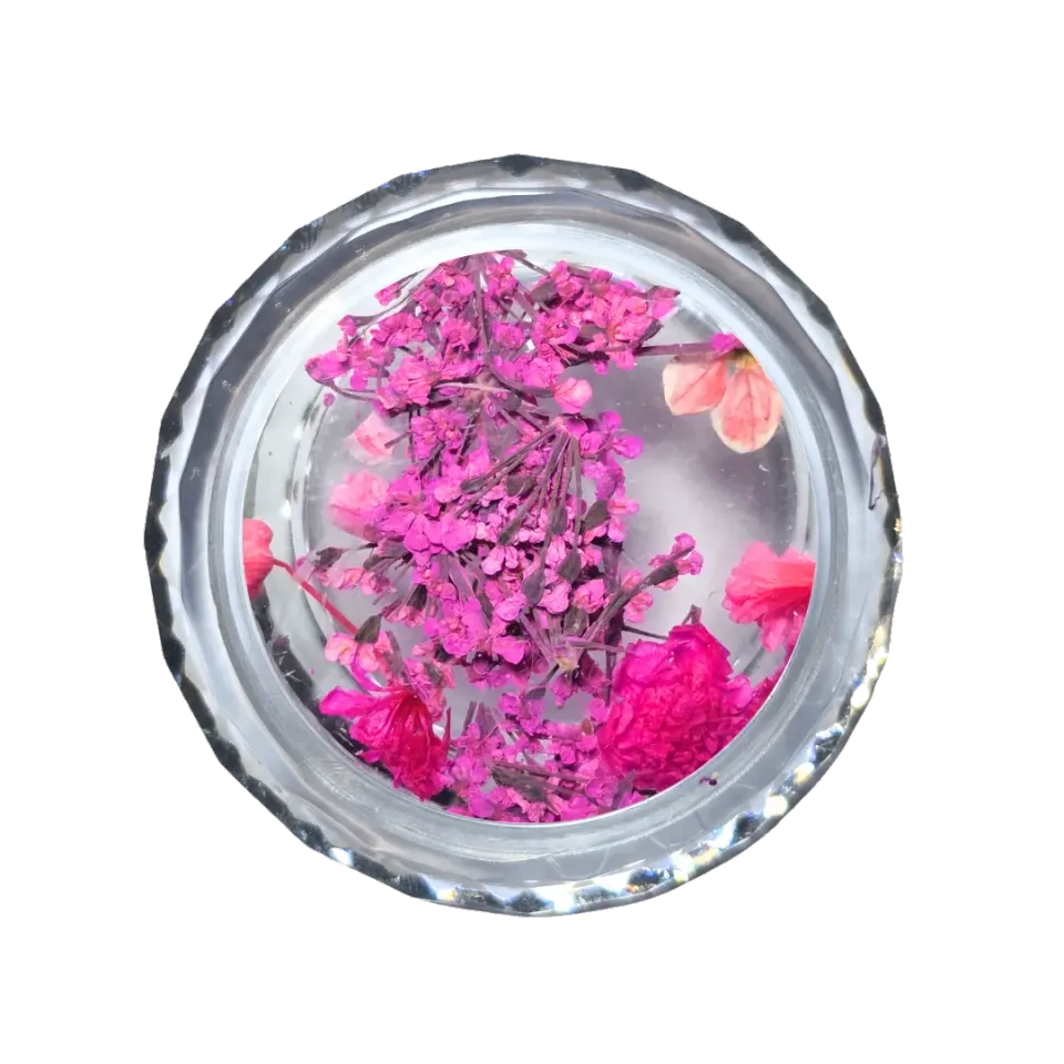 Divina Nails Dried Flowers Fucsia Dream fiori secchi nail art