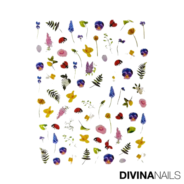 Diva Nails Water Decal Colorful Flowers 061 stickers unghie fiori
