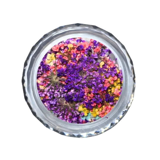 Diva Nails Dried Flowers Blossom fiori secchi decorazione unghie