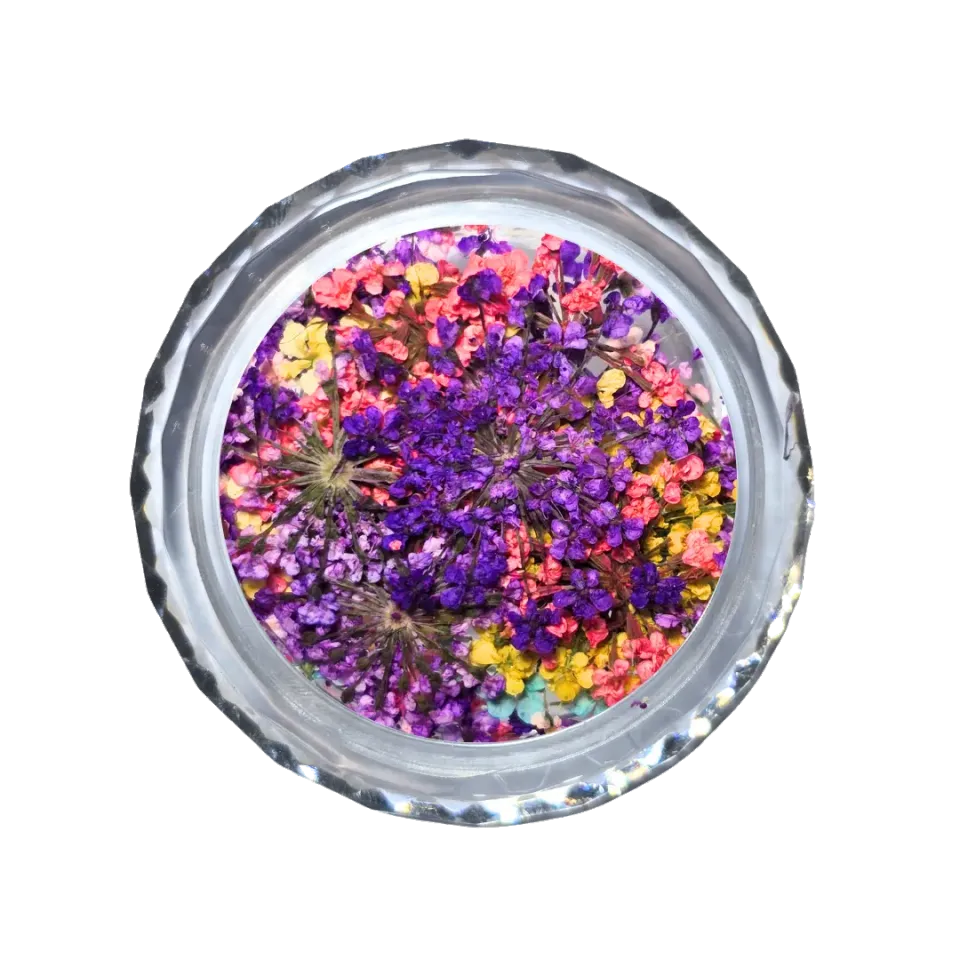Diva Nails Dried Flowers Blossom fiori secchi decorazione unghie